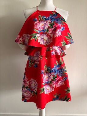 ASOS Red Floral Mini Dress